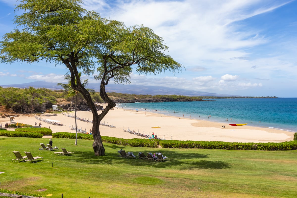 66-84 Kaunaoa Dr, #B23