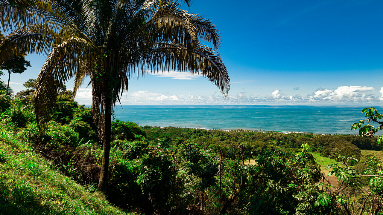Front Row Ocean View Property with a Private Waterfall