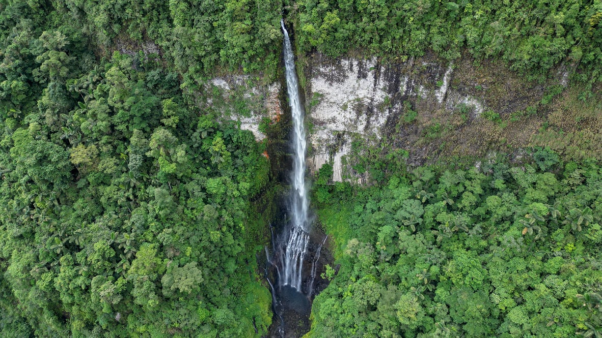 La Monarca