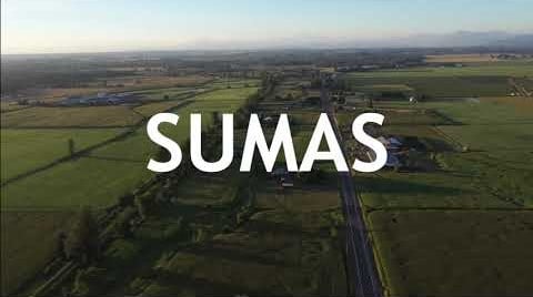 Sumas 