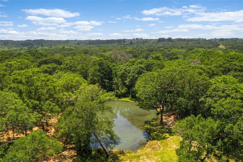 540 Walnut Dr Bellville, Tx 77418