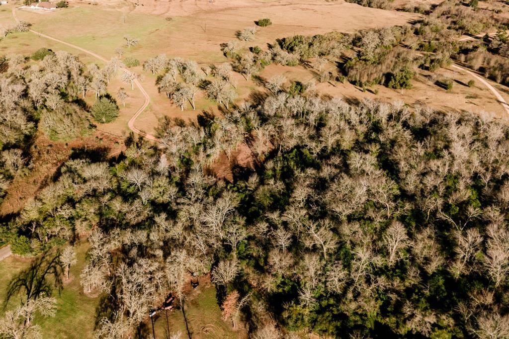 TBD Ellerman Rd Brenham, Tx 77833