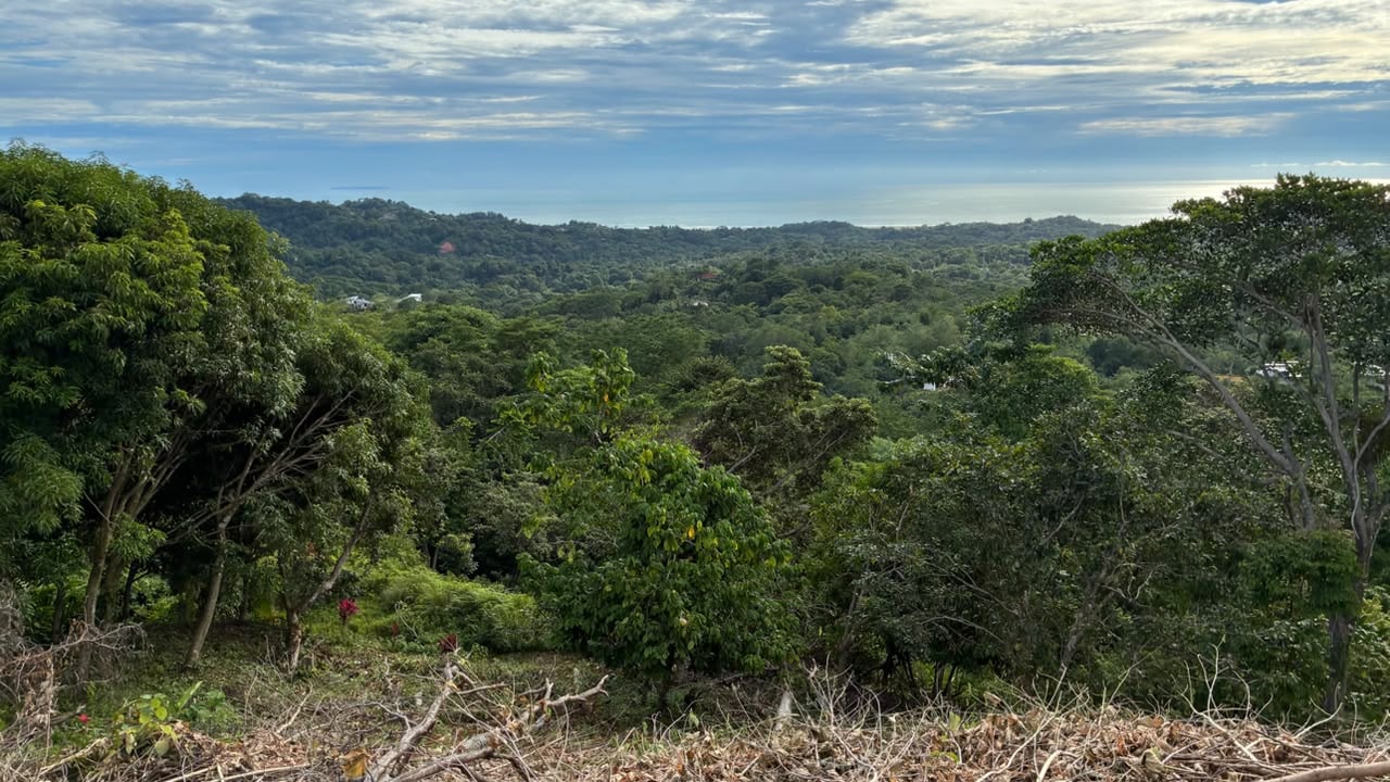 Beautiful Ocean View Lot in Ojochal Phase9