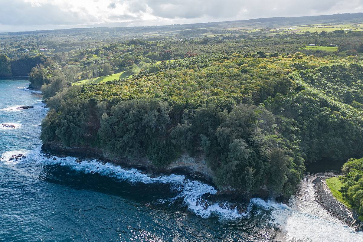 HAMAKUA COAST BIG ISLAND - OCEANFRONT 40 ACRES - WATERFALLS