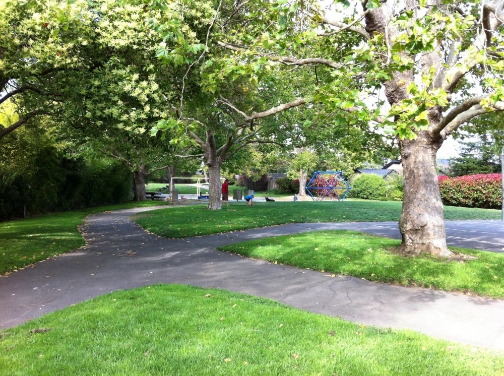 Sycamore Park
