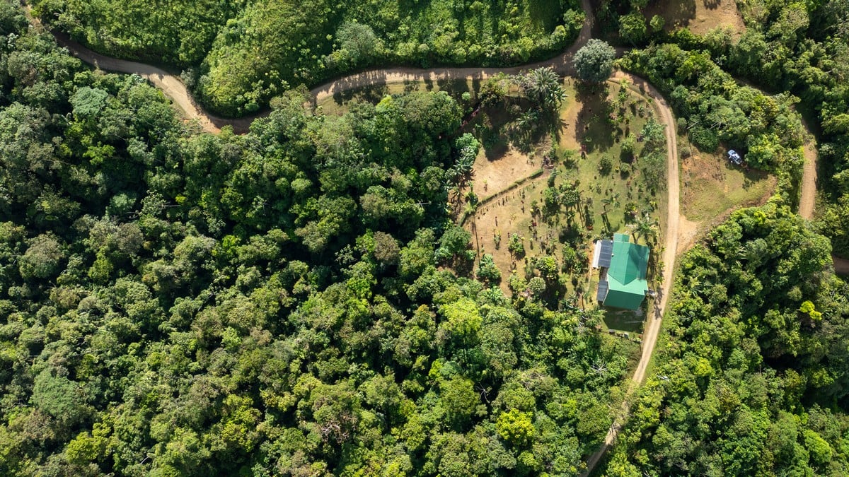 1.8 ACRES – 4 Bedroom Panoramic Ocean & Mountain View Paradise Home Tucked Away in Complete Privacy With Tropical Gardens & Fruit Trees!!!