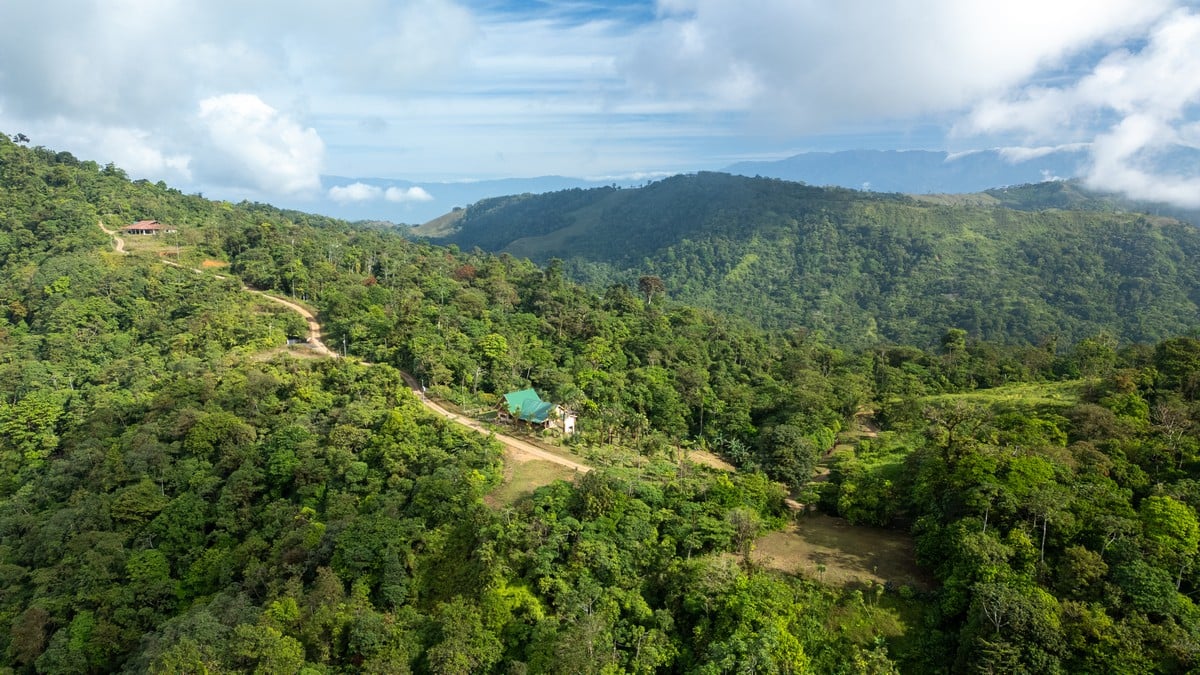 1.8 ACRES – 4 Bedroom Panoramic Ocean & Mountain View Paradise Home Tucked Away in Complete Privacy With Tropical Gardens & Fruit Trees!!!
