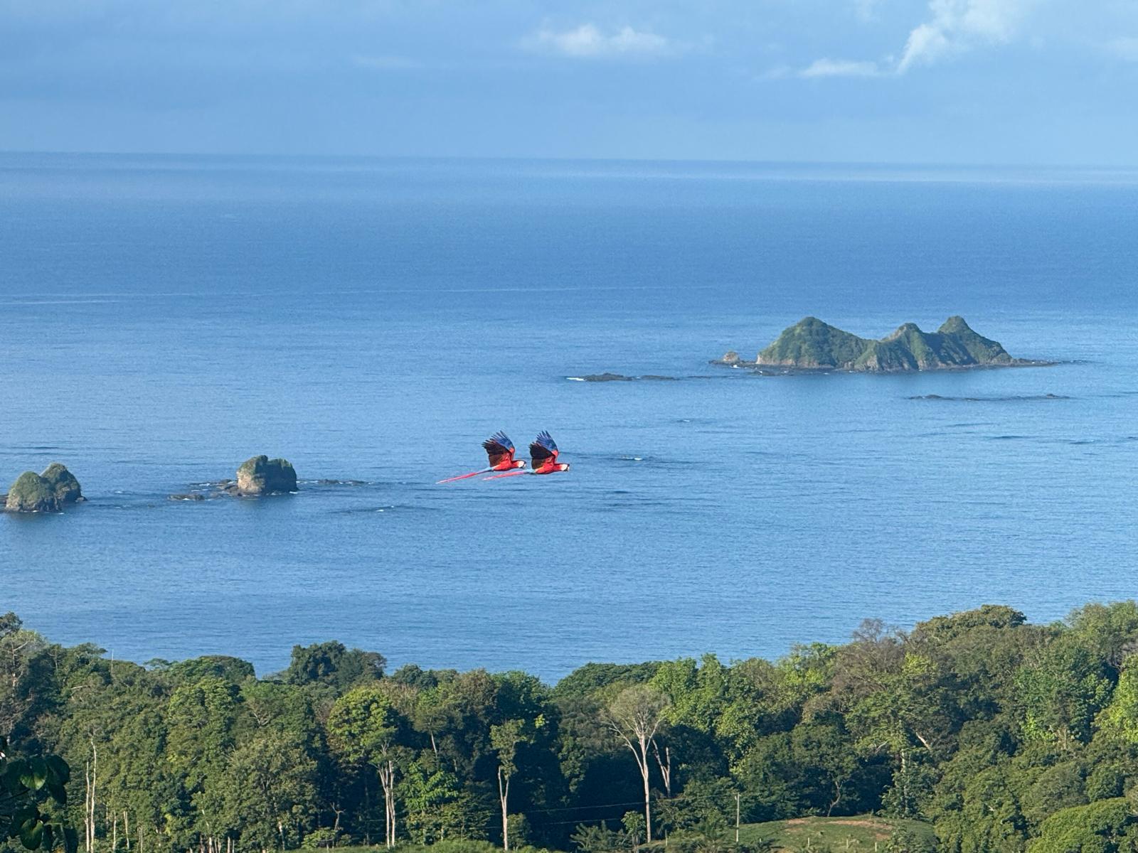 Luxury Ocean View Home in Ojochal Costa Rica | Infinity Pool & Sunset Views