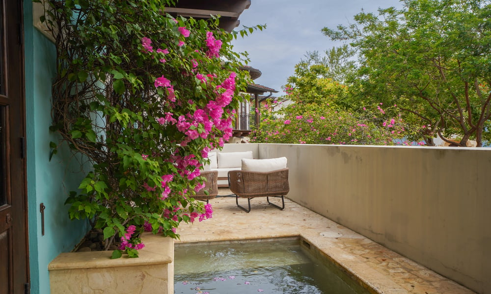 11 Plaza Carlota | 2-Bedroom Condo in the Heart of Las Catalinas