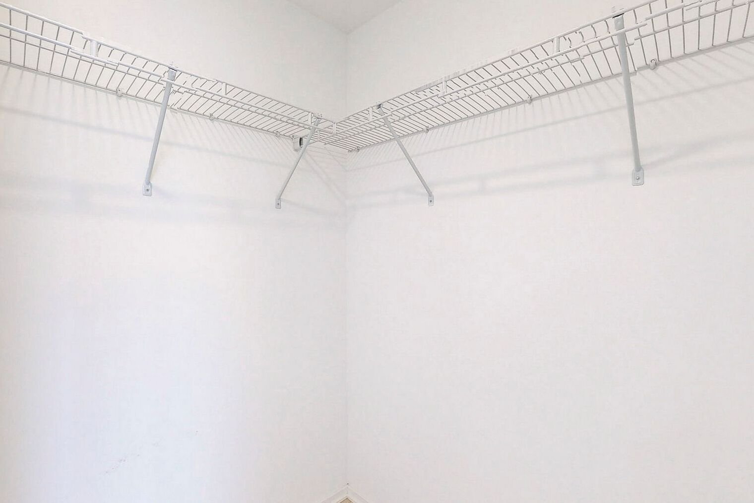 16 Bonnycastle Street Unit: 4202 