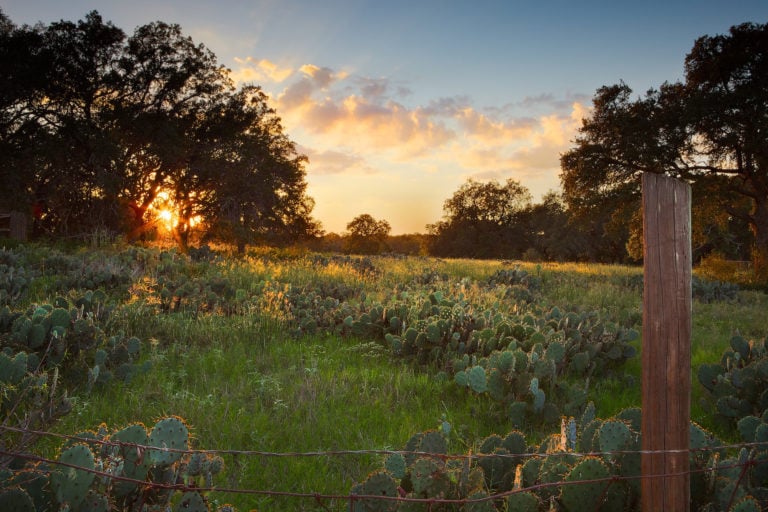 Liberty Ranch