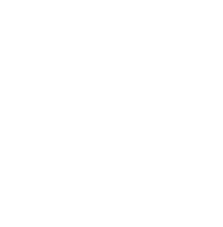 DAILY SEARCHES ON GOOGLE
