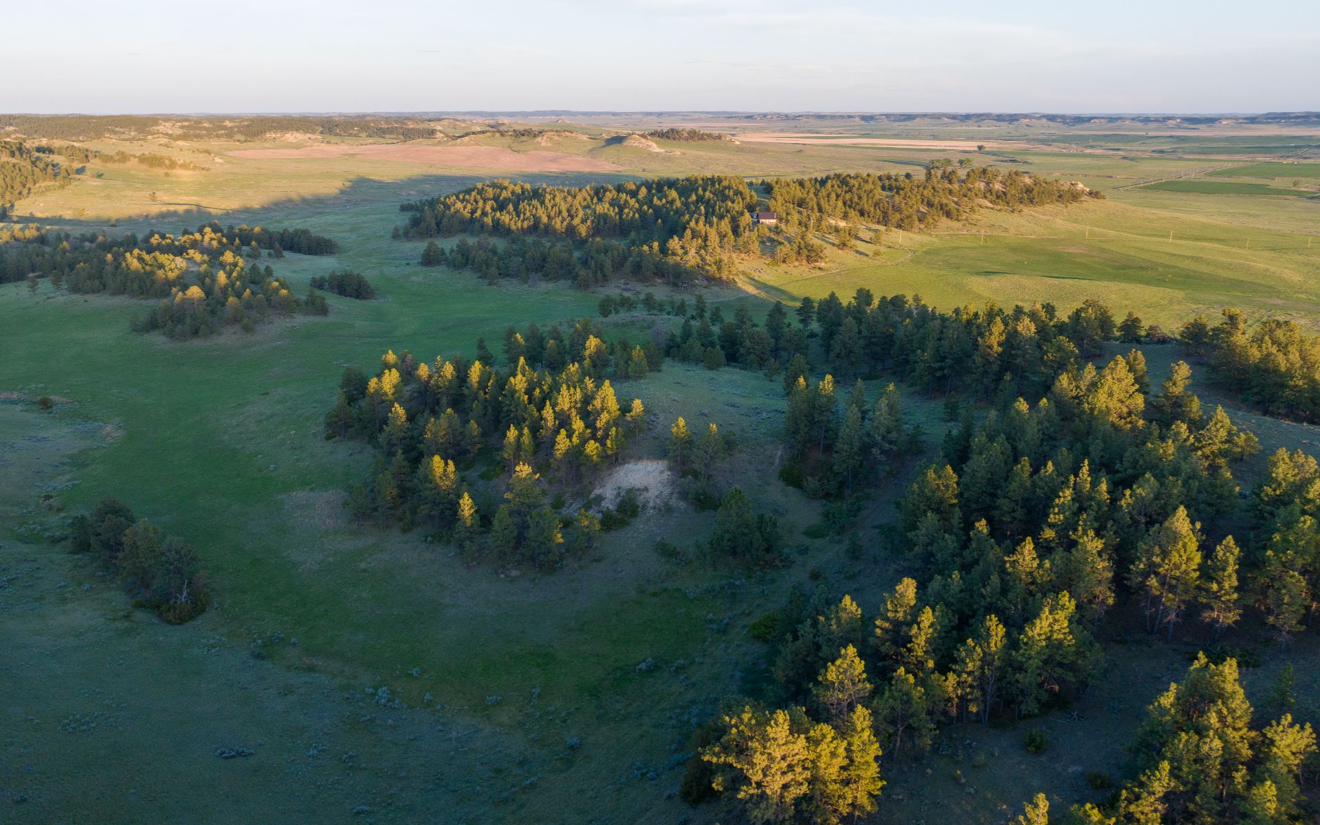 Elk Rich Ranch