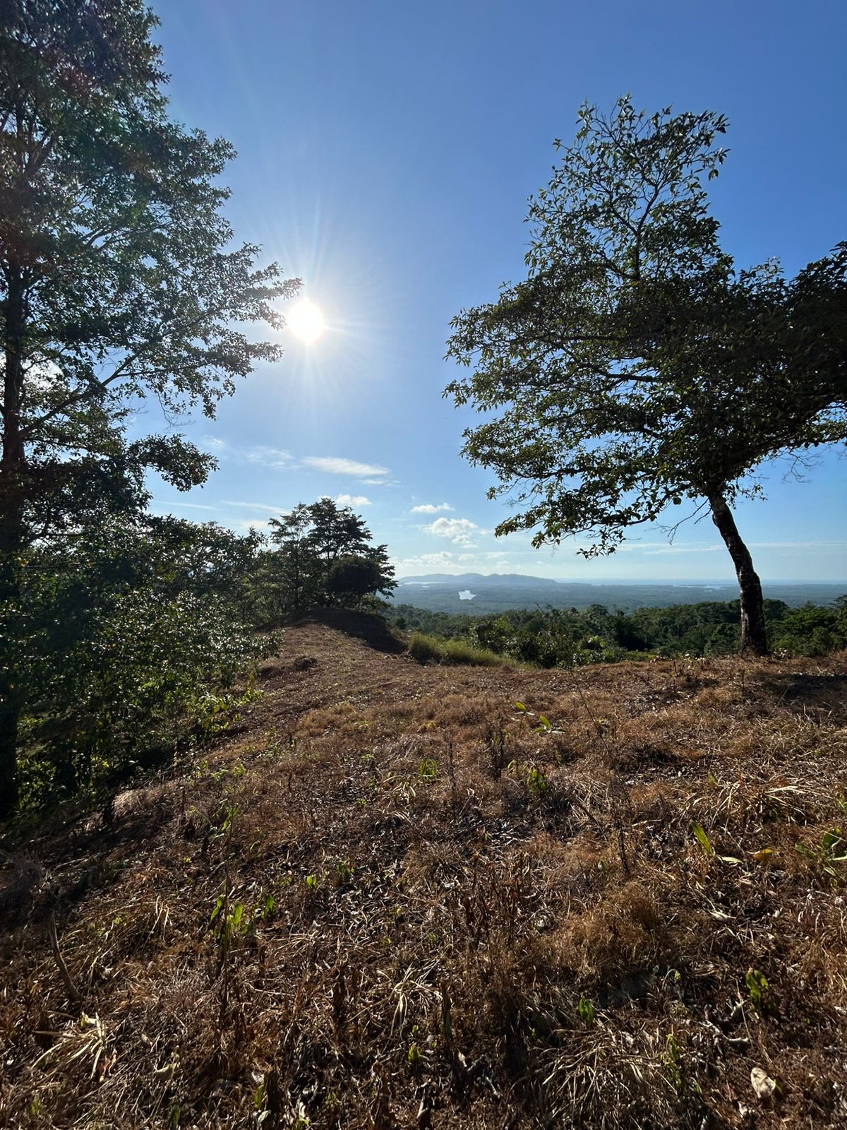 67 acres development (15 titled lots) with breathtaking views in Sierpe
