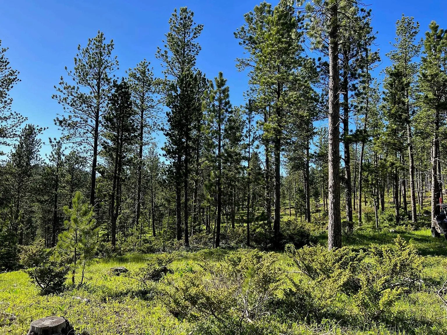 Lot 5 Boles Canyon Rd