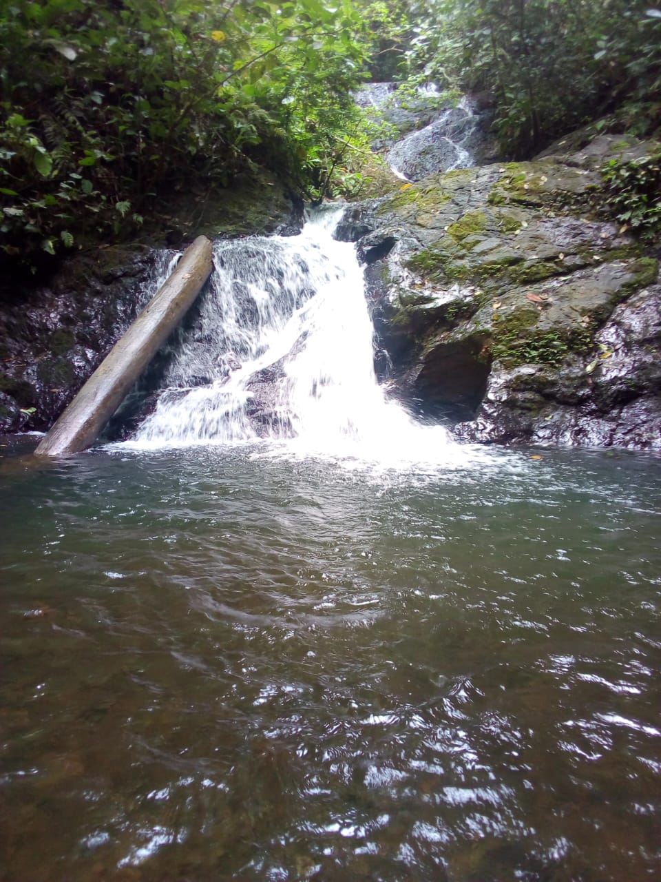 67 acres development (15 titled lots) with breathtaking views in Sierpe