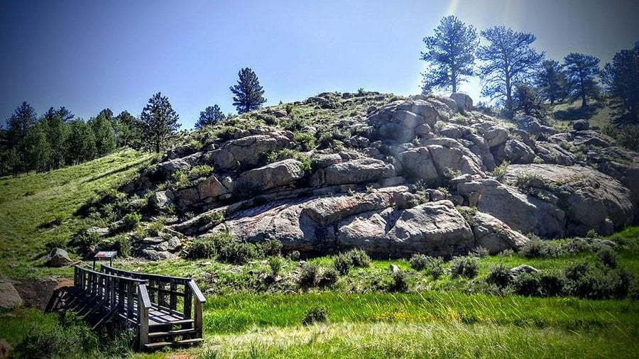 Rocky hillside with pine trees and a small wooden footbridge over a grassy stream.