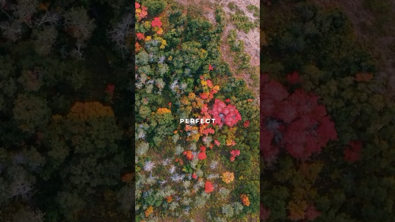 Oakley, Utah Cabin for Sale- 5+ acres and stunning views in Canyon Rim Ranches #utahlife #realestate