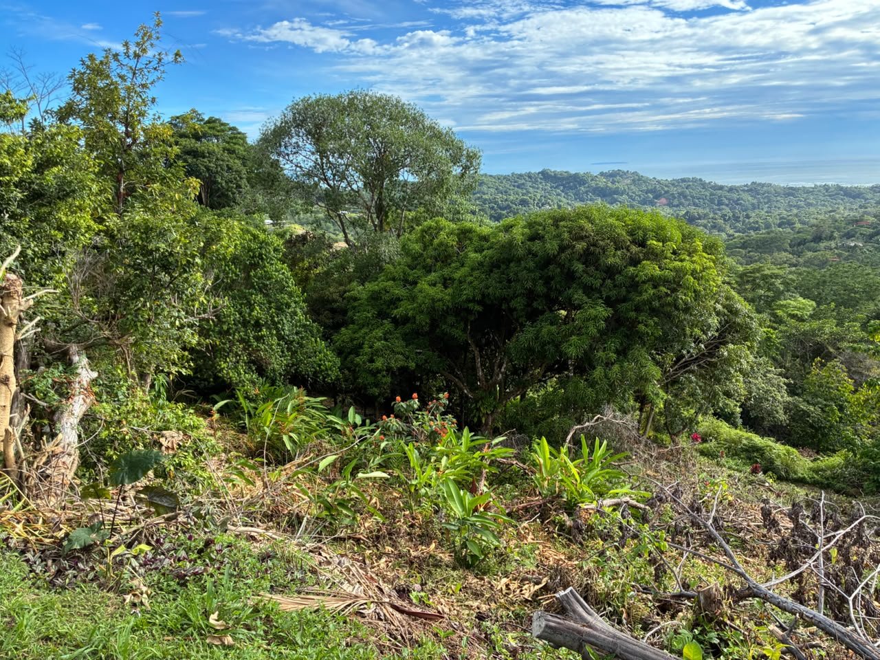 Beautiful Ocean View Lot in Ojochal Phase9
