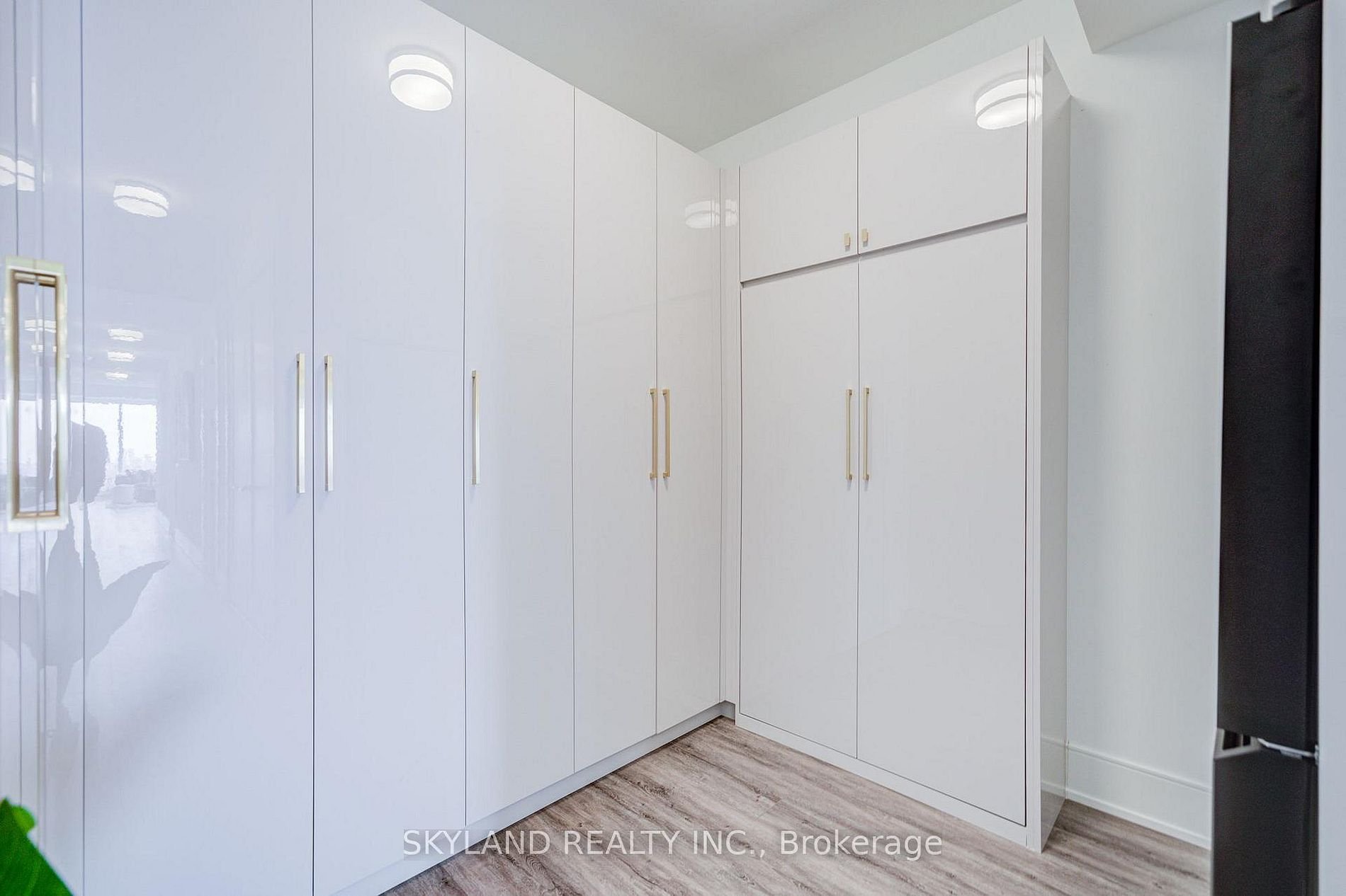 LUXURY IN TRIDEL