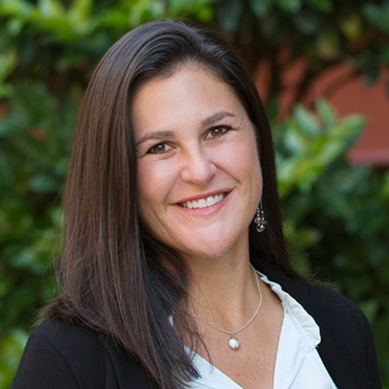 Lisa Merritt North Carolina Real Estate Agent Headshot