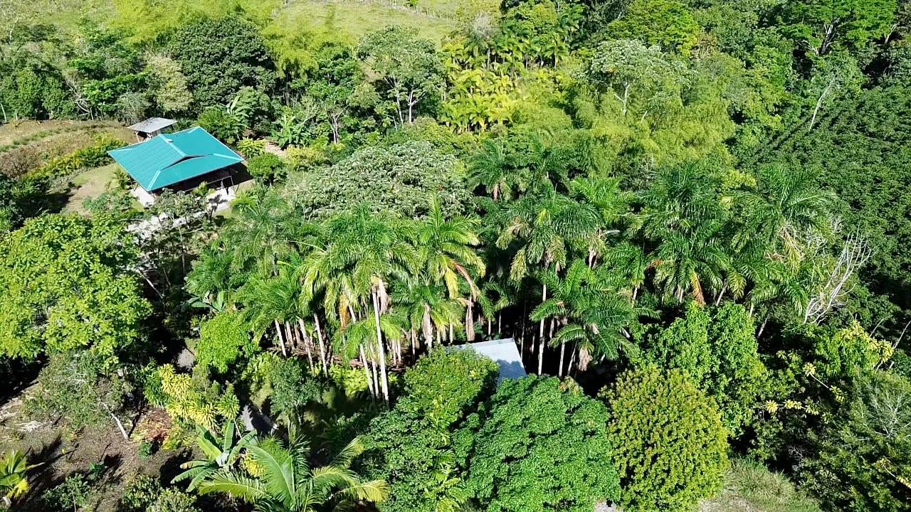 Mountain Oasis with House and Guest Cabin in Las Brisas, San Vito 