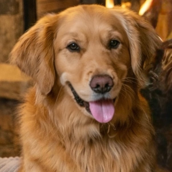 Charlie Eagle, CO Chief Happiness Officer Headshot