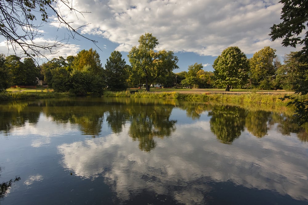 Mermaid Park: A Hidden Gem in Wyndmoor, PA