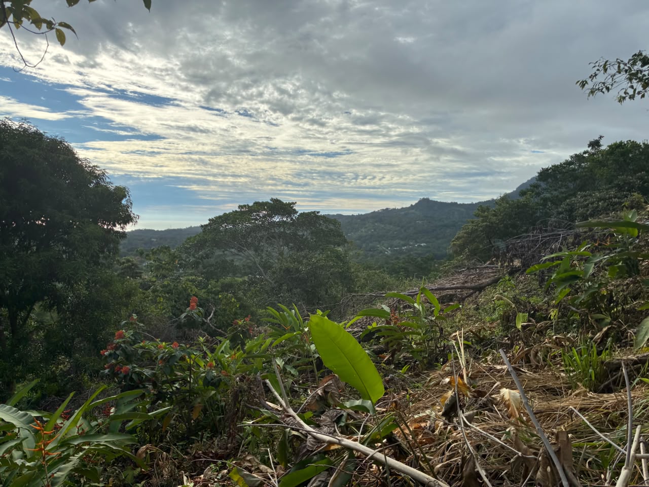 Spectacular Ocean View Lot in Ojochal Phase 9