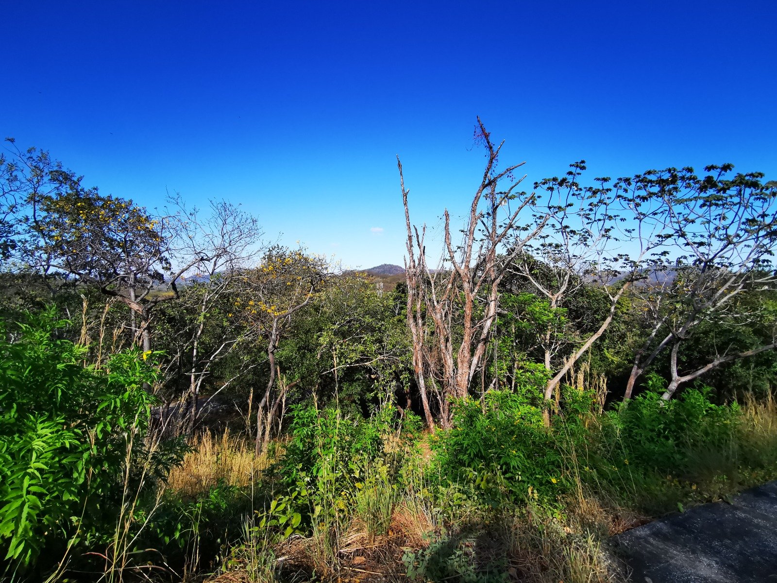 Valle Escondido