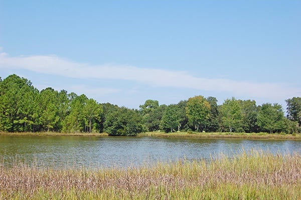 6586 Beagle Club Road Lot 10