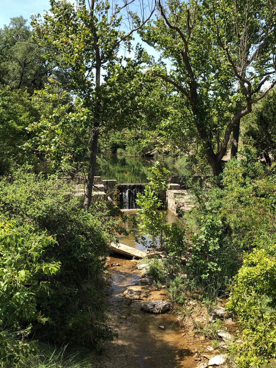 100 Dario Dr. Dripping Springs  Tx 78620