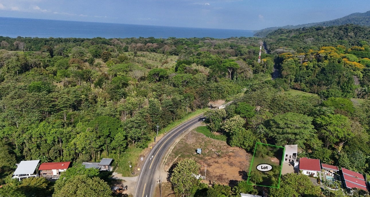 ZONED RESIDENTIAL / COMMERCIAL LOT IN COVETED LOCATION!!