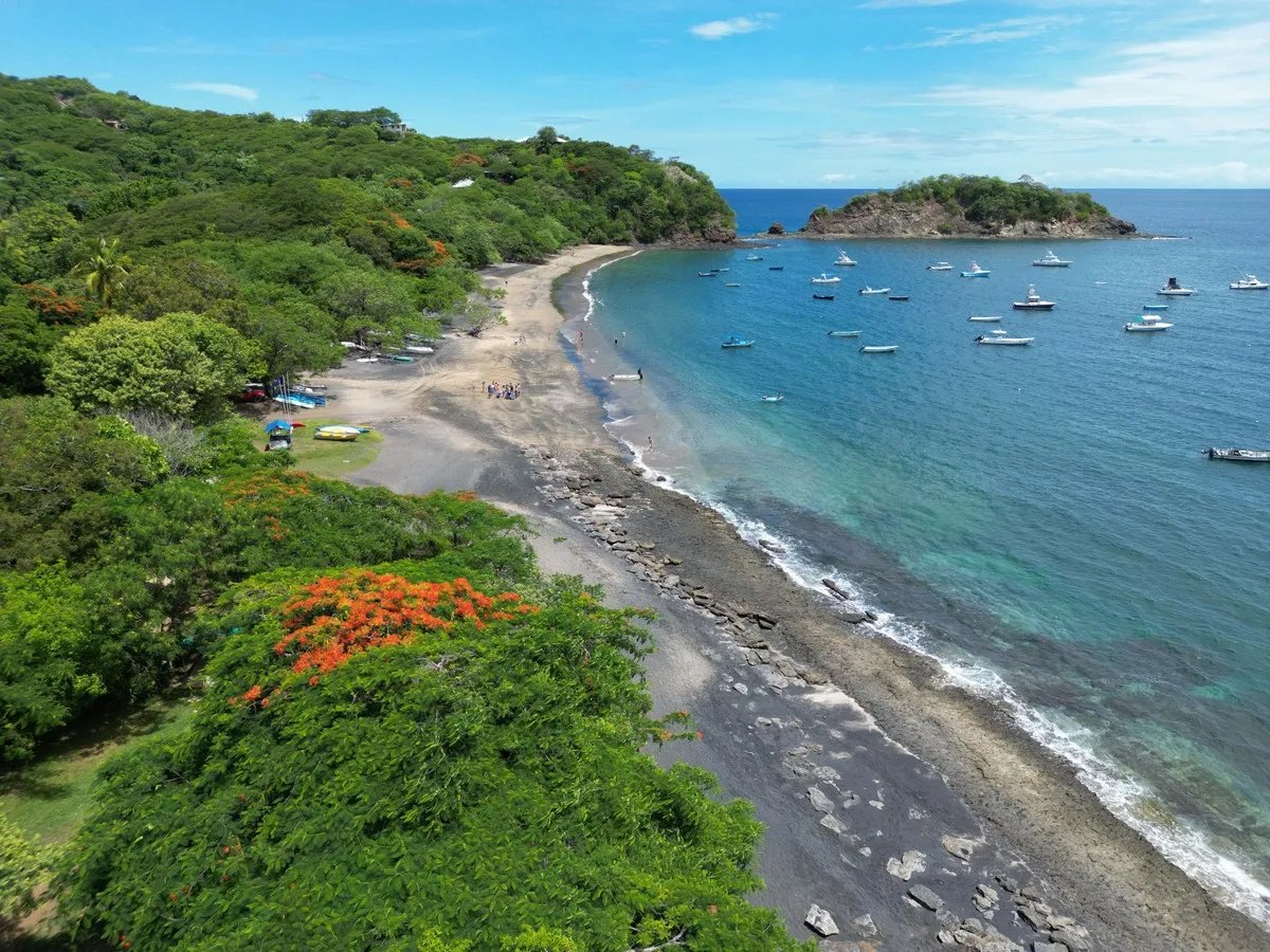 The Cove #6