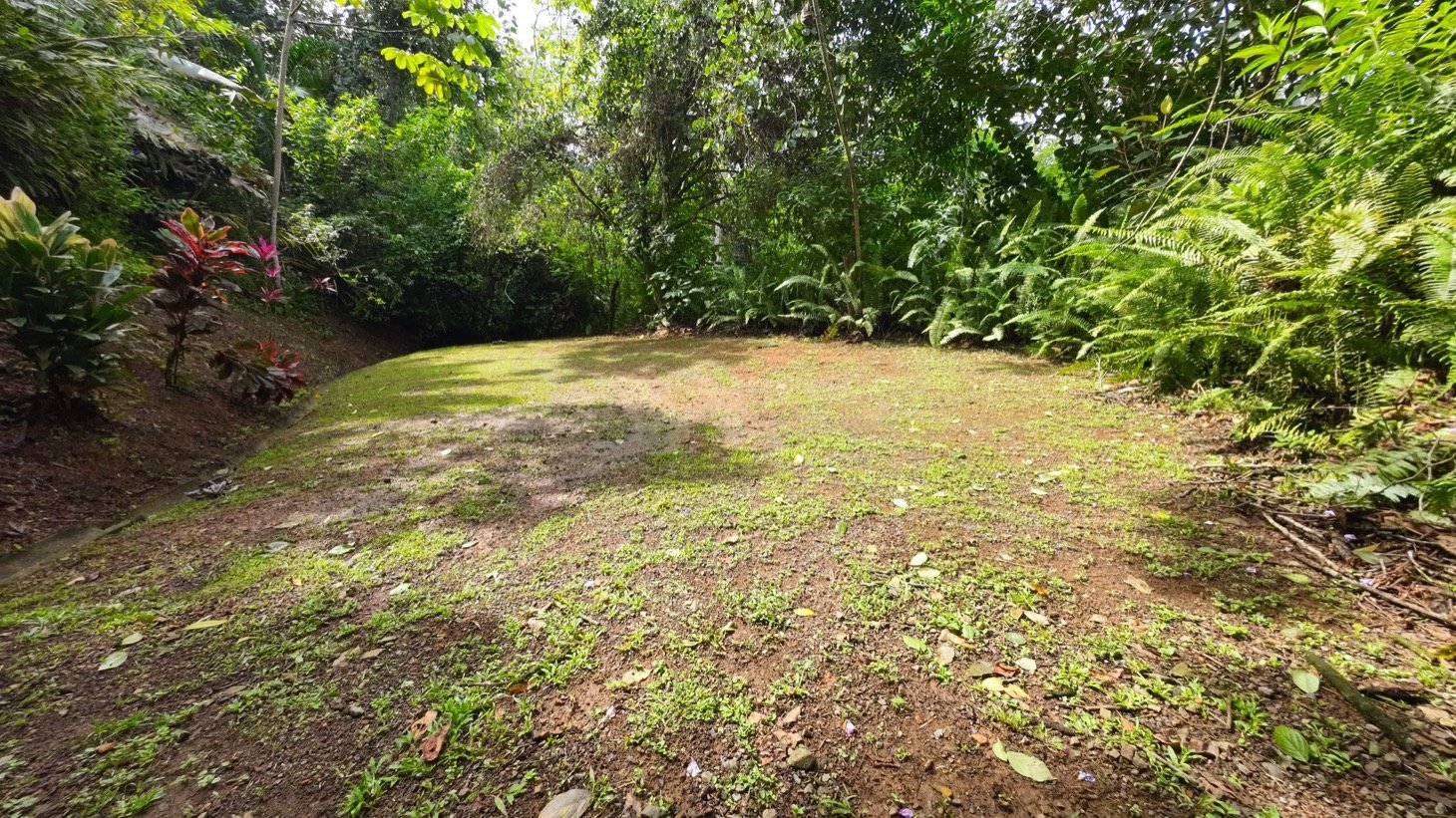 Valley of Dreams - A Beautiful Multi-Use Property Near Cacao Ridge, 10.85 Acres at a Phenomenal Price!