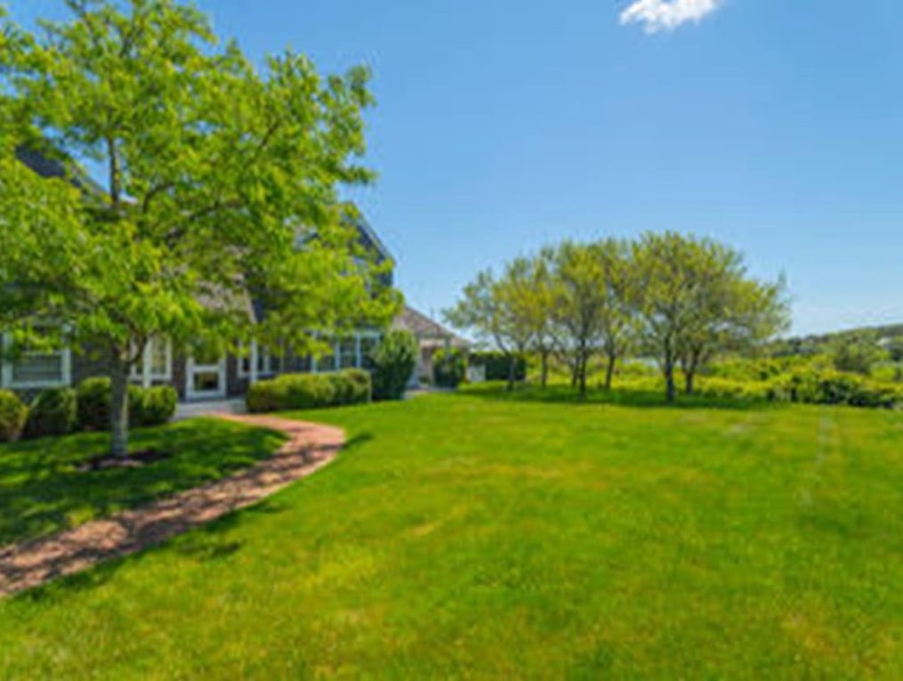 117 Plantingfield Way