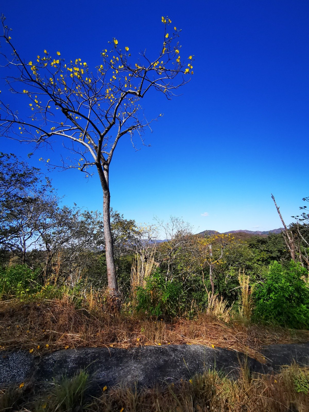Valle Escondido