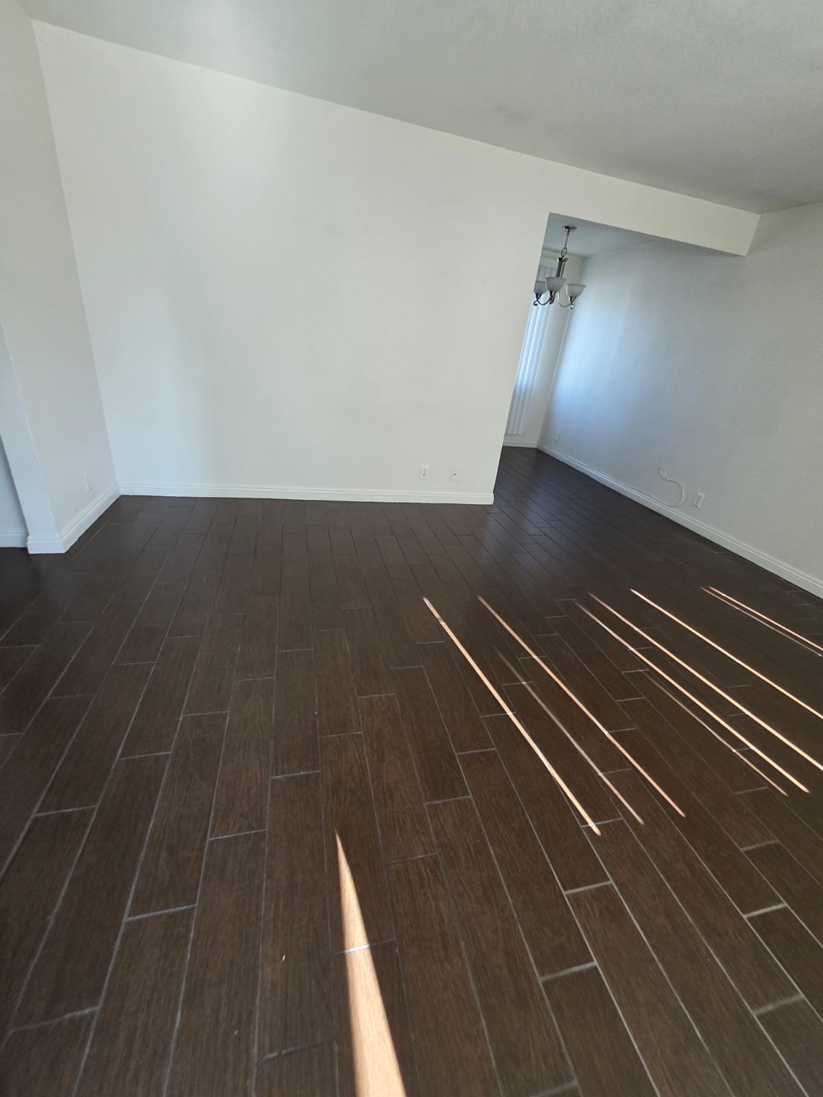 2626 Lynnwood Street #10