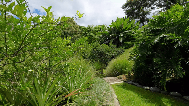 Tropical Hacienda with Breathtaking Whitewater Views in Most Desirable Gated Community in Ojochal