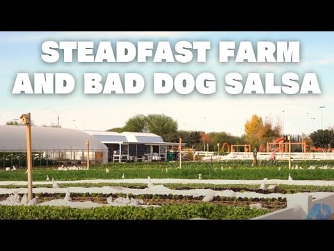 Steadfast Farm and Bad Dog Salsa | Mesa, AZ