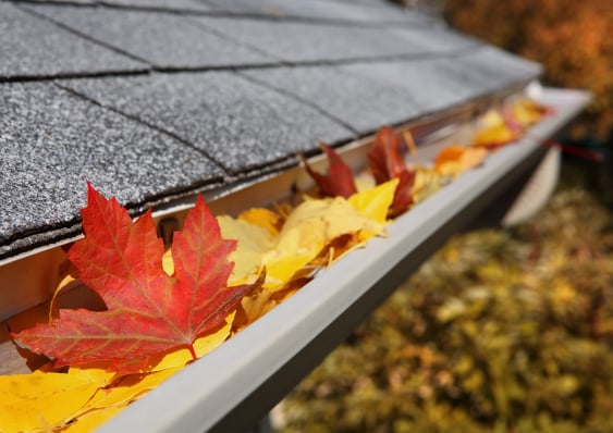 Essential Fall Maintenance Tips for Your Lake Tahoe Home cover