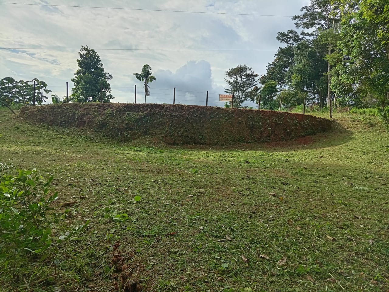 0.46 ACRES – Ocean View Land With Ready To Build Site, 2 Minutes Away From El Pavon Waterfall, Utilities On Site & Virgin Forest!!!