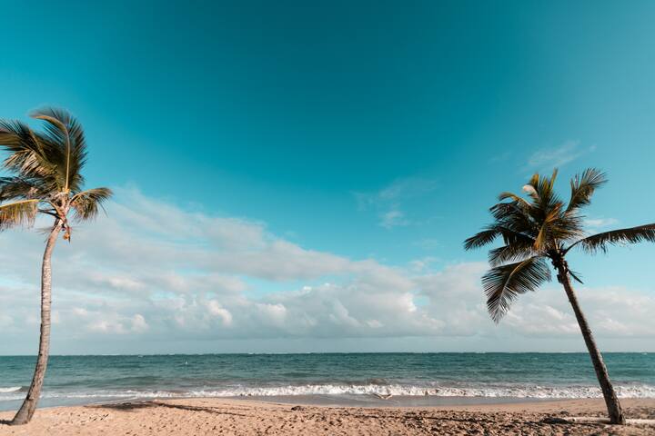 Beach House Apt 8 • King Studio w/ Kitchenette - Airbnb