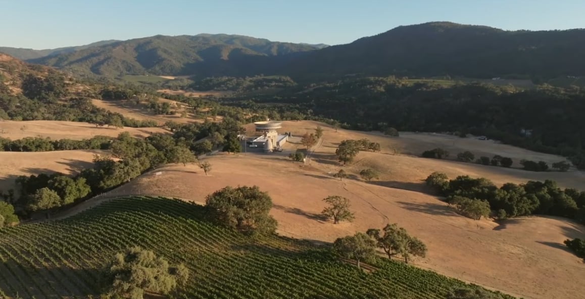 Bernardus Marinus Vineyard