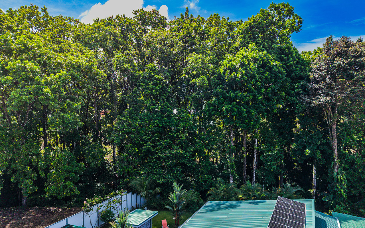 Home Near Downtown Uvita with Private Forest and Creek