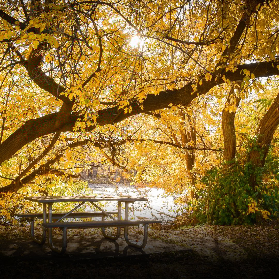 Fall in Boise: Your Weekend Event Guide (Oct 3–5)