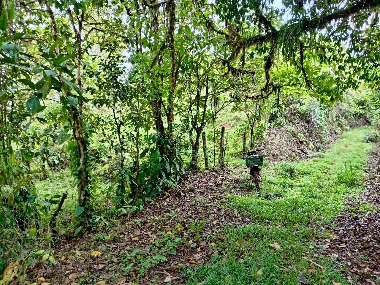 Los Cerritos Farm – 6.4 Acres of Ocean & Mountain Serenity