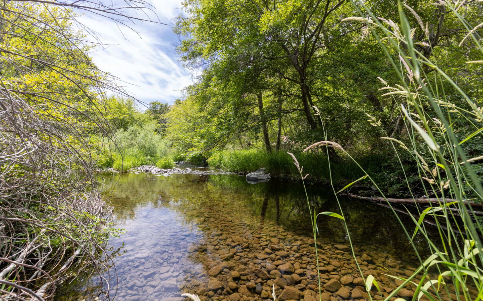 1056 Rock Creek Rd