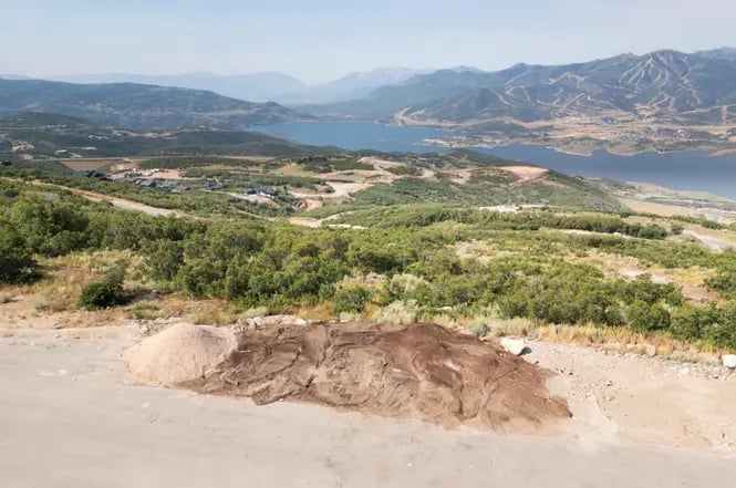 11521 N Penstemon Way