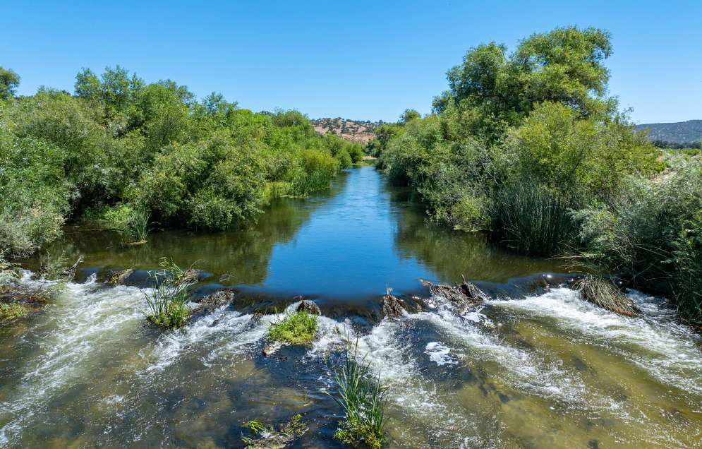 Joseph Vineyard | 76987 Nacimiento Lake Drive
